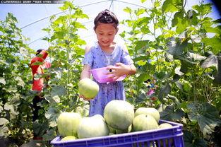 51cg最新吃瓜爆料临汾,临汾风云再起，揭秘临汾最新吃瓜事件