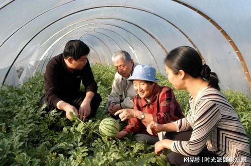 吃瓜王奶奶,揭秘娱乐圈那些不为人知的幕后故事