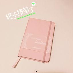 马卡龙手账本网红,网红带你领略甜蜜生活美学